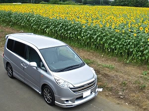 �X�e�b�v���S��