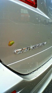 �I�f�b�Z�C