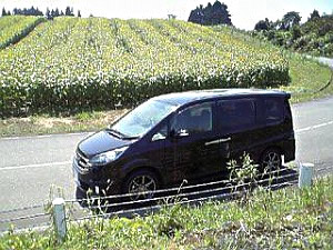 �X�e�b�v���S��