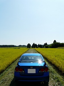 �V�r�b�NTYPE R