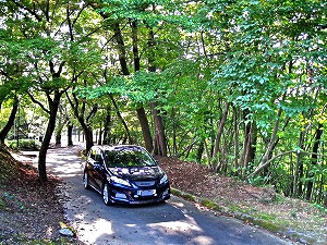 �G�f�B�b�N�X