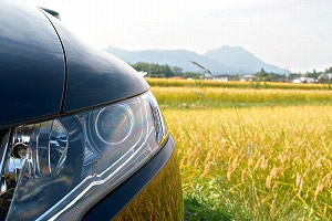 �I�f�b�Z�C