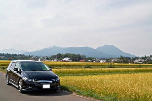 �I�f�b�Z�C