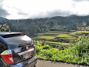 �G�f�B�b�N�X