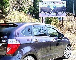 �G�f�B�b�N�X