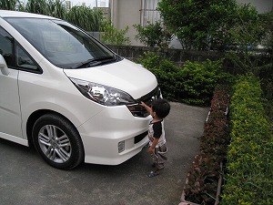 �X�e�b�v���S��