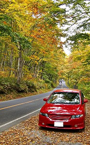 �I�f�b�Z�C