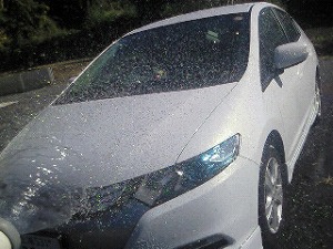 �C���T�C�g