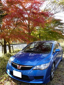 �V�r�b�NTYPE R