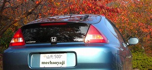 �C���T�C�g