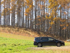 �I�f�b�Z�C