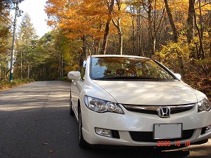 �V�r�b�N�n�C�u���b�h