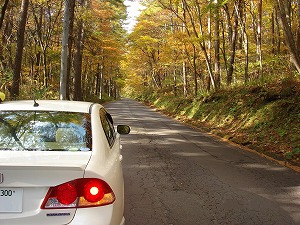 �V�r�b�N�n�C�u���b�h