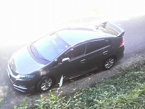�C���T�C�g