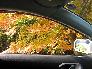 �C���e�O��TYPE R