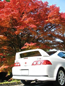 �C���e�O��TYPE R