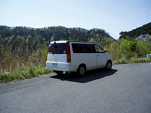 �X�e�b�v���S��