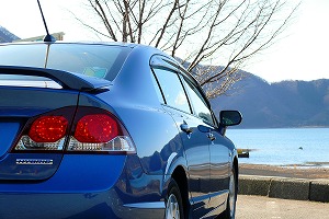 �V�r�b�N �n�C�u���b�h