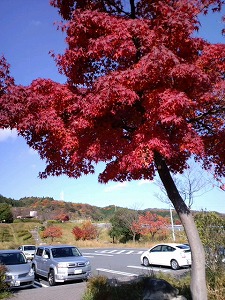 �N���X���[�h