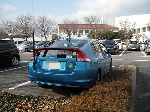 �C���T�C�g