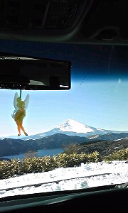 �X�e�b�v���S��