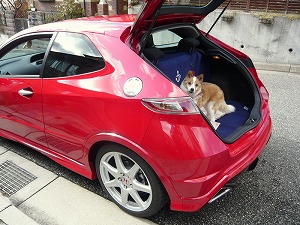 �V�r�b�NTYPE R