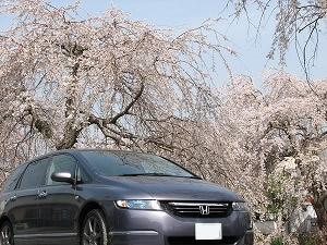 �I�f�b�Z�C