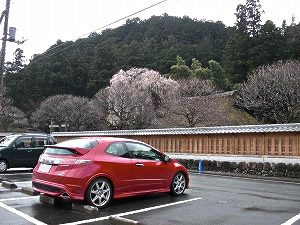 �V�r�b�NTYPE R