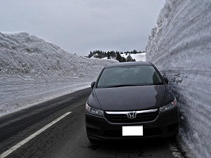 �X�g���[��