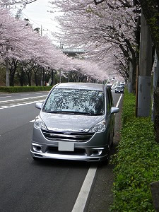 �X�e�b�v���S��