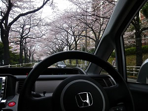 �X�e�b�v���S��