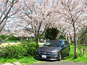 �X�g���[��