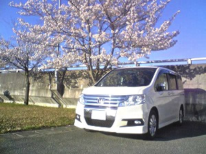 �X�e�b�v���S��