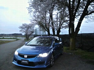 �V�r�b�NTYPE R