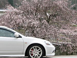 �C���e�O��TYPE R