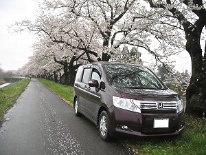 �X�e�b�v���S��