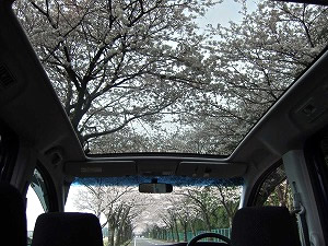 �X�e�b�v���S��