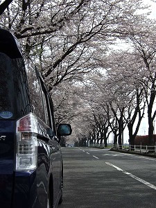 �X�e�b�v���S��