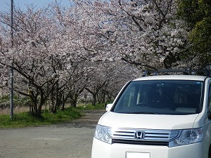 �X�e�b�v���S��