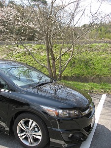 �X�g���[��