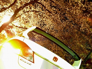 �V�r�b�NTYPE R