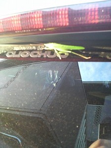 �I�f�b�Z�C