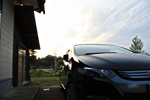 �C���T�C�g