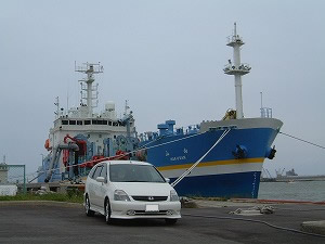 �X�g���[��