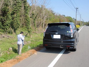 �X�g���[��