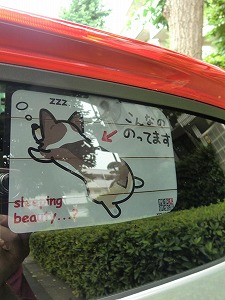 �C���T�C�g