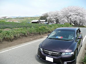 �I�f�b�Z�C