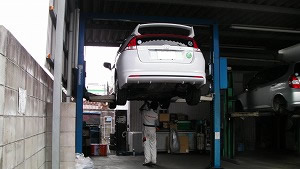 �C���T�C�g