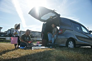 フリード スパイク