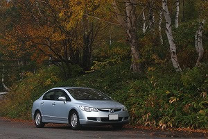 �V�r�b�N�n�C�u���b�h